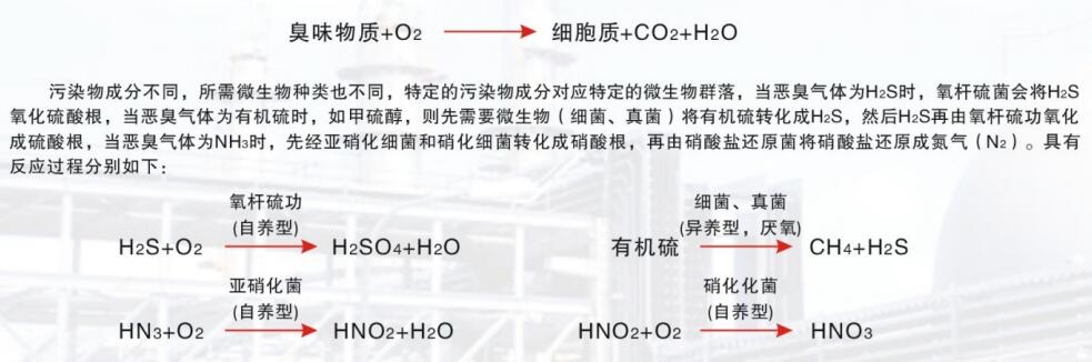 技術原理.jpg